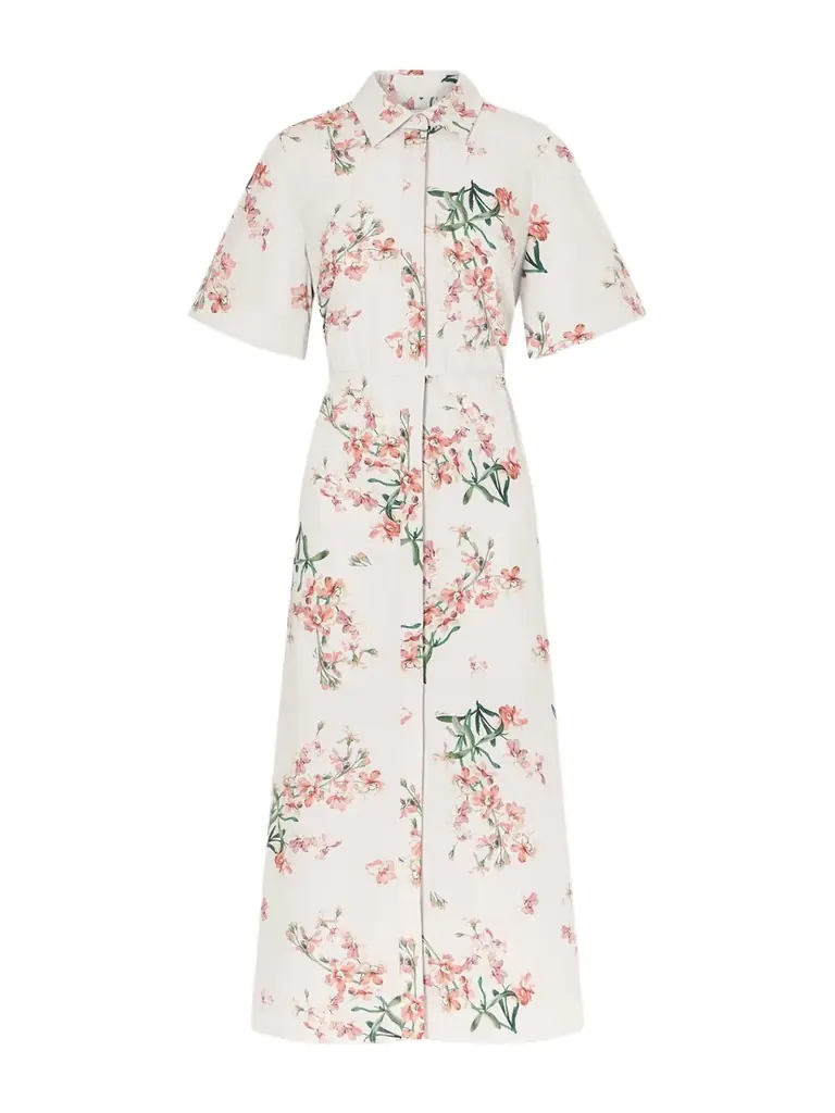 Erdem Floral-print Cotton-poplin Midi Dress