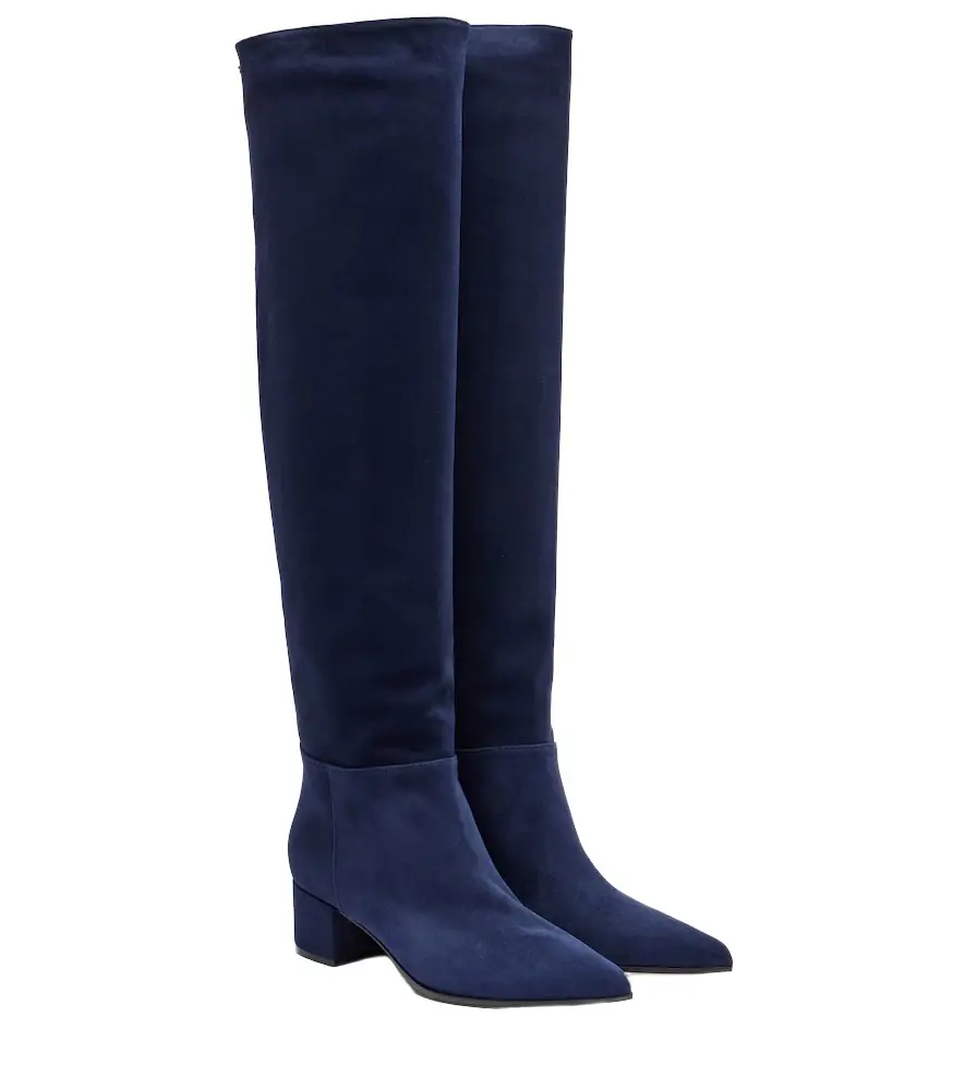 Gianvito Rossi Suede knee-high boots