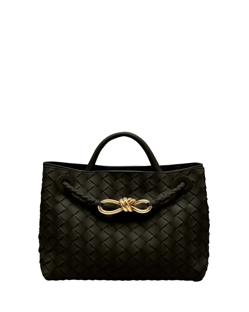 Bottega Veneta Andiamo Small Leather Top-Handle Bag
