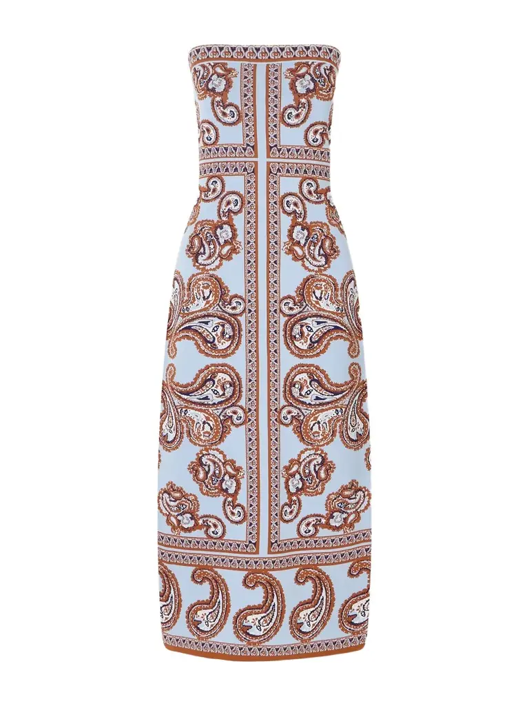 Cara Cara Rome Printed Strapless Midi Dress