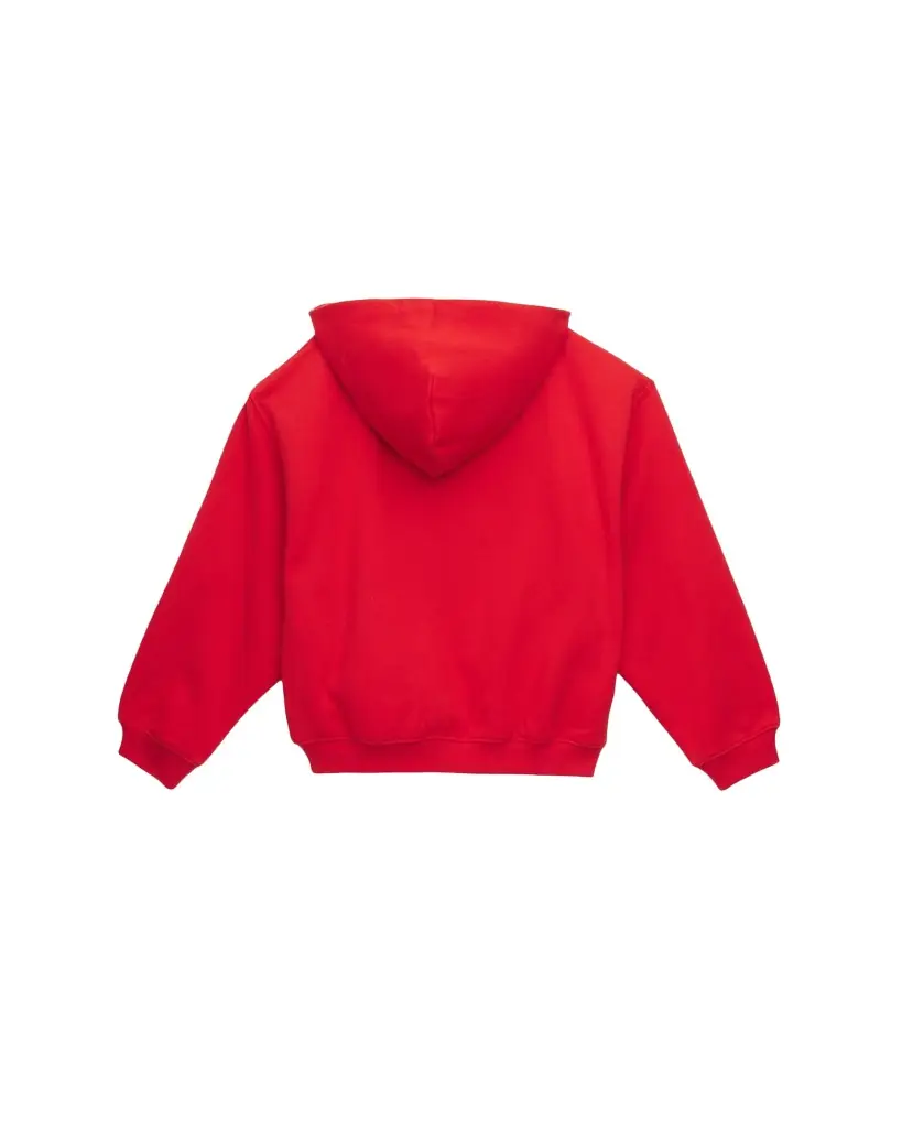 Purple Kids Boy 's Logo-Print Cotton Fleece Hoodie, Size 4-10