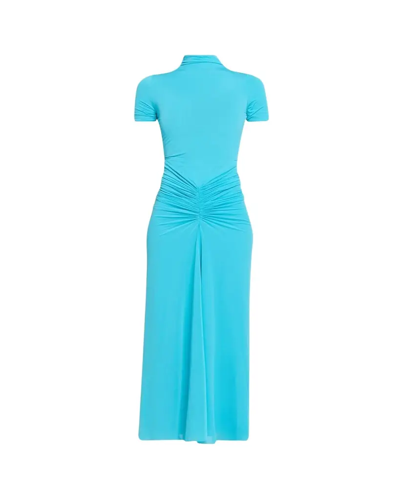 Ronny Kobo Enid Ruched Tissue Jersey Maxi Dress
