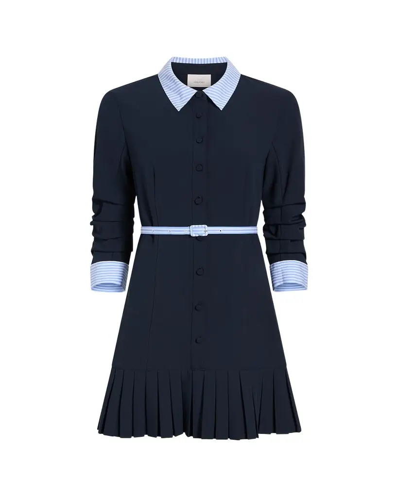 Cinq a Sept Lucilla Stripe Shirting Dress