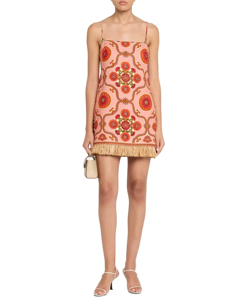 Cara Cara Valencia Printed Feather-Trim Mini Dress