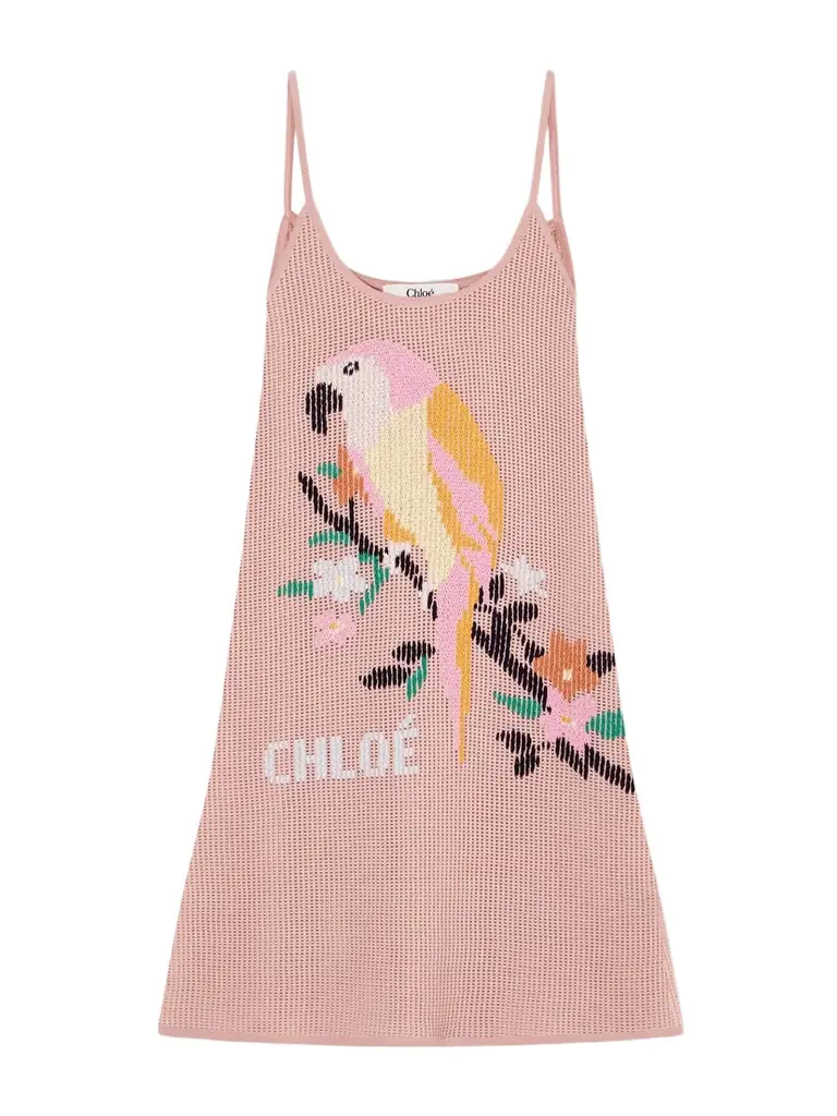 Chloé Embroidered Crocheted Cotton Mini Dress