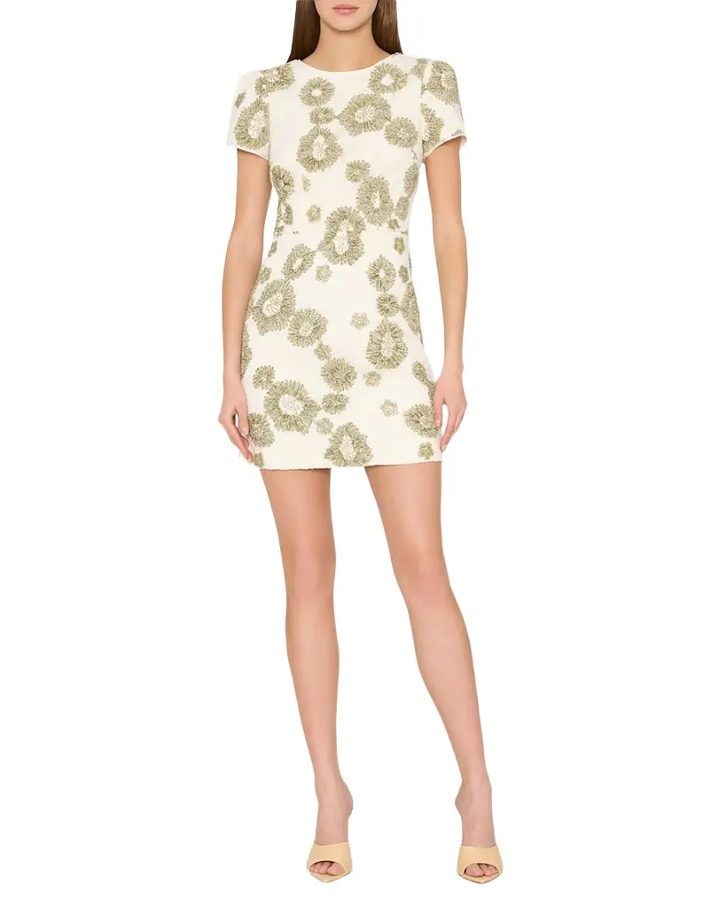 Milly Daisy Embroidered Lace Mini Dress