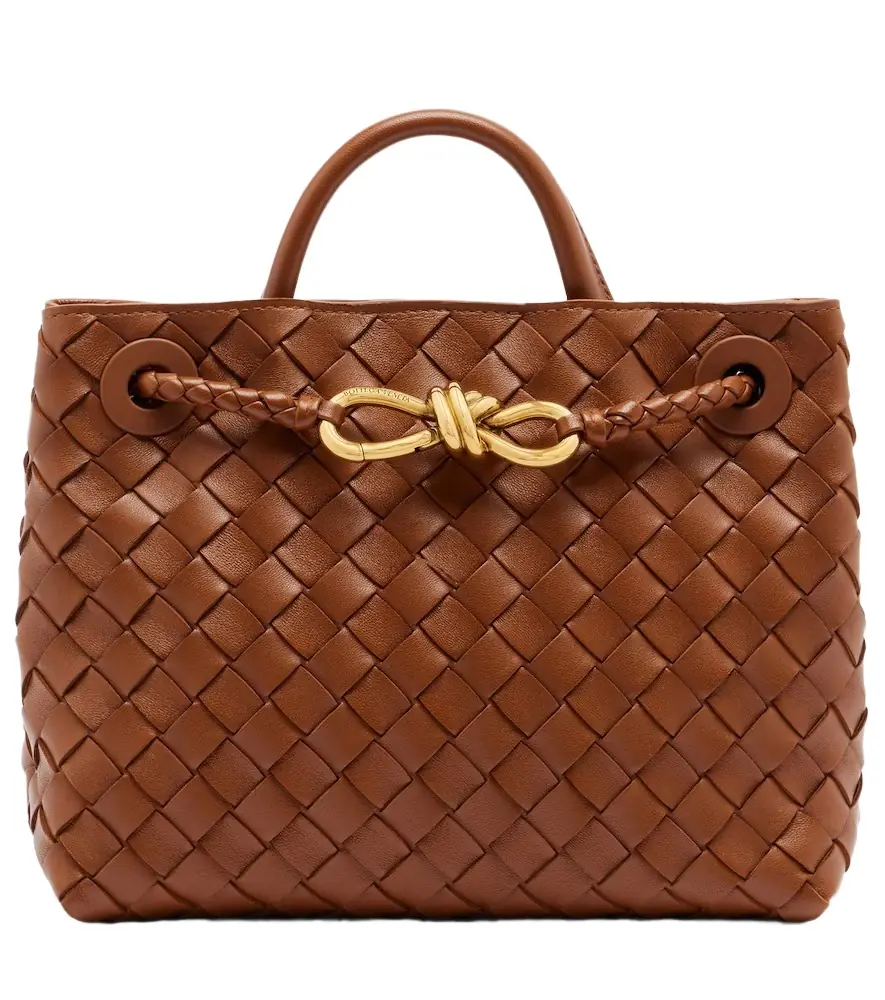 Bottega Veneta Andiamo Small leather top-handle bag