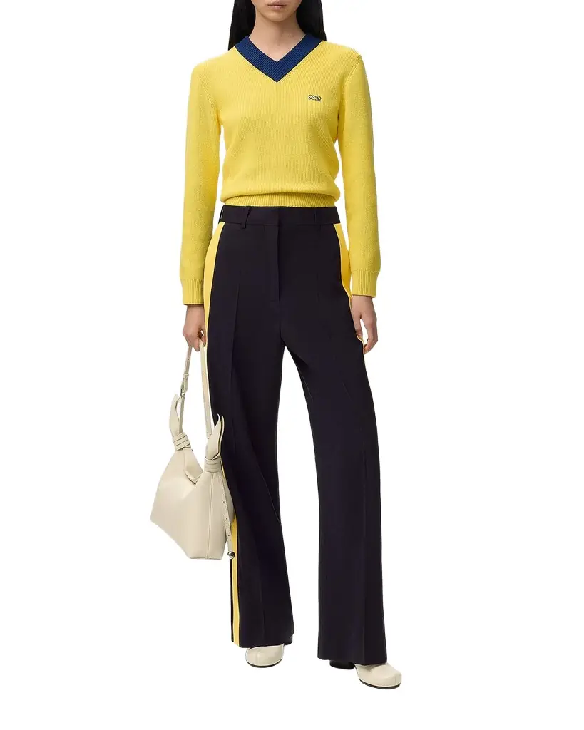 Loewe Bicolor V-Neck Sweater - Women's Clothing